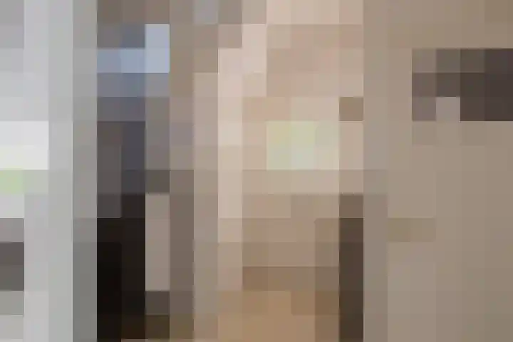 Laurillardlaan 16 Santpoort-Zuid thumbnail 6
