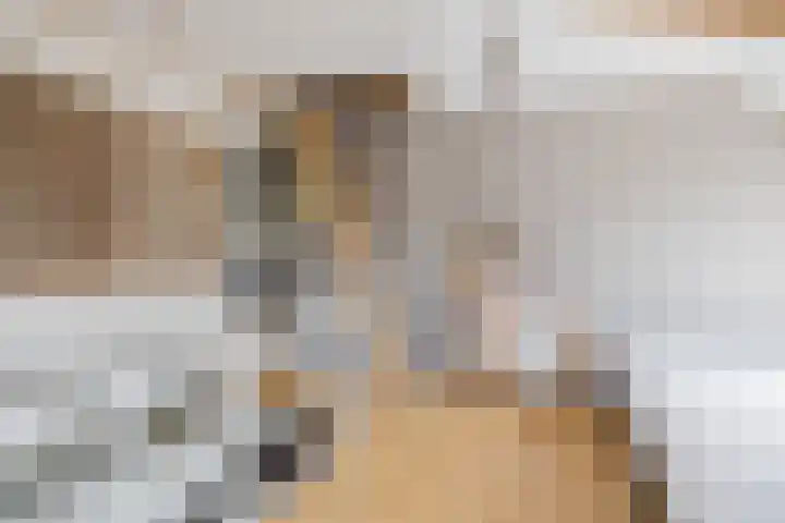 Laurillardlaan 16 Santpoort-Zuid thumbnail 69