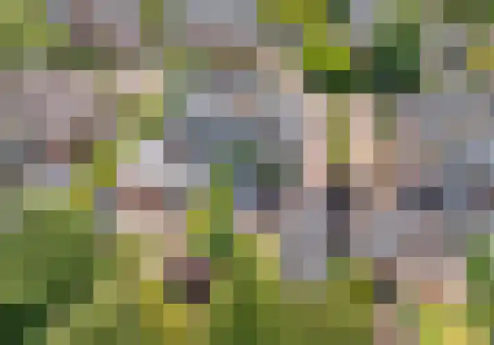 Laurillardlaan 16 Santpoort-Zuid thumbnail 73