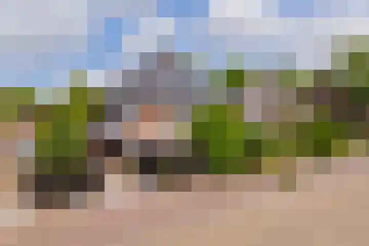 Laurillardlaan 16 Santpoort-Zuid thumbnail 75