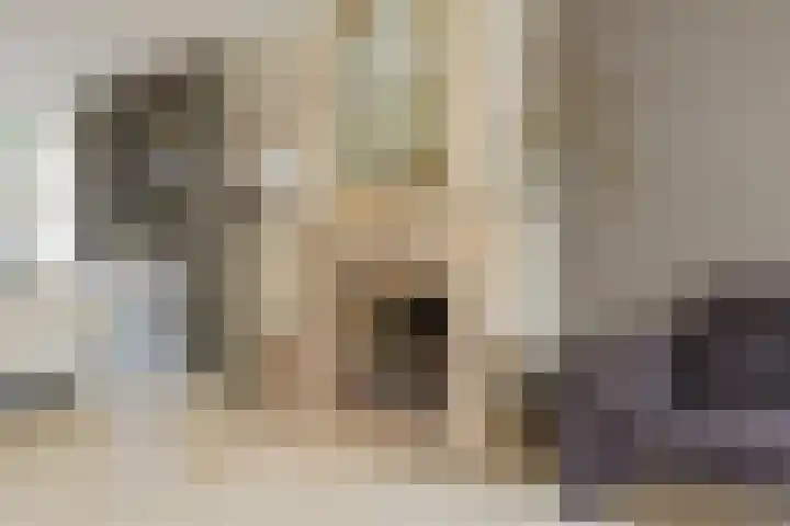 Laurillardlaan 16 Santpoort-Zuid thumbnail 9