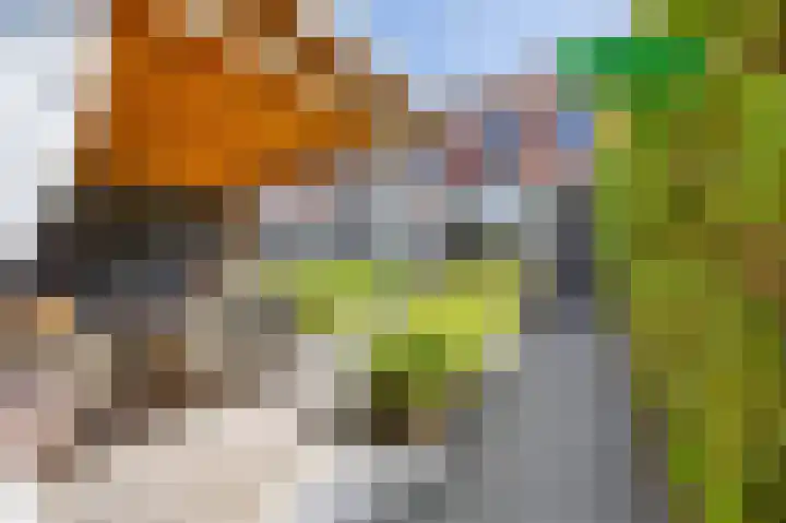 Laurus Melselaan 11 Den Haag