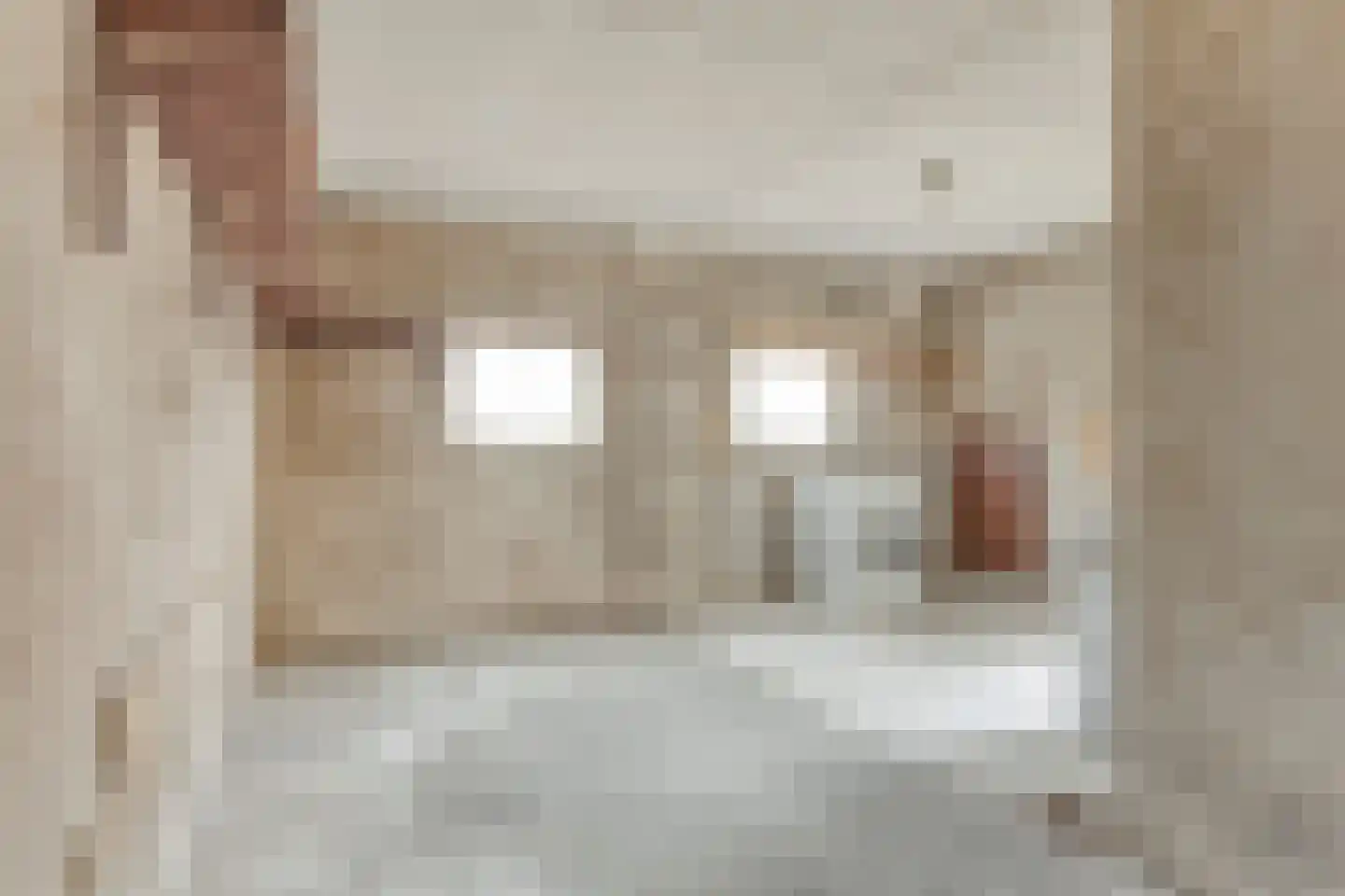 Laustraat 27 's-Heerenhoek thumbnail 15