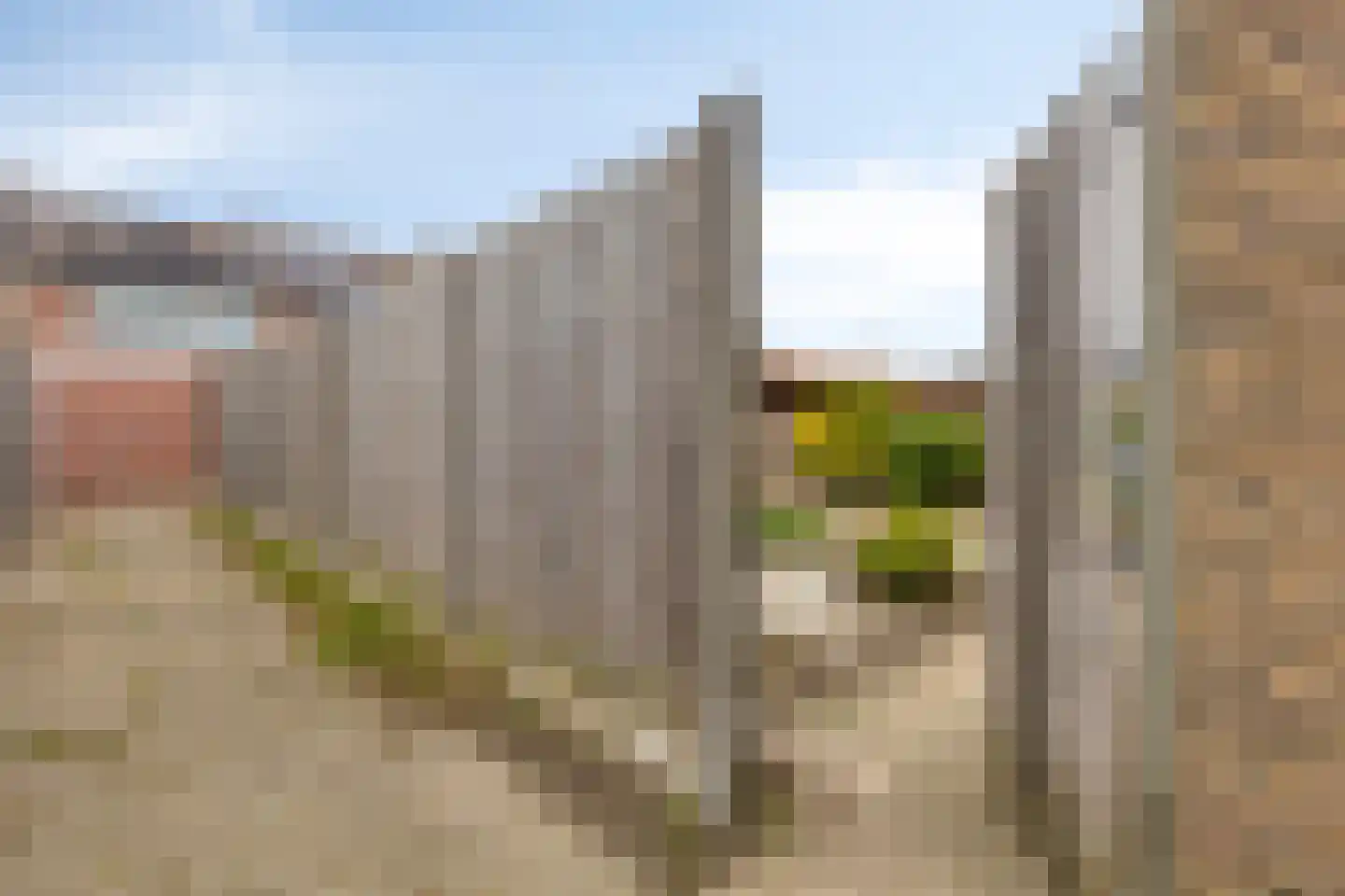 Laustraat 27 's-Heerenhoek thumbnail 34
