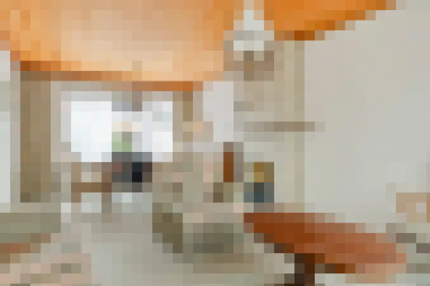 Laustraat 27 's-Heerenhoek thumbnail 6