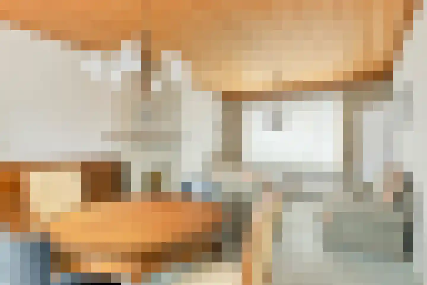 Laustraat 27 's-Heerenhoek thumbnail 8