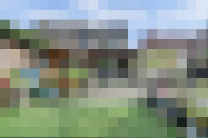 Laustraat 30 's-Heerenhoek thumbnail 18