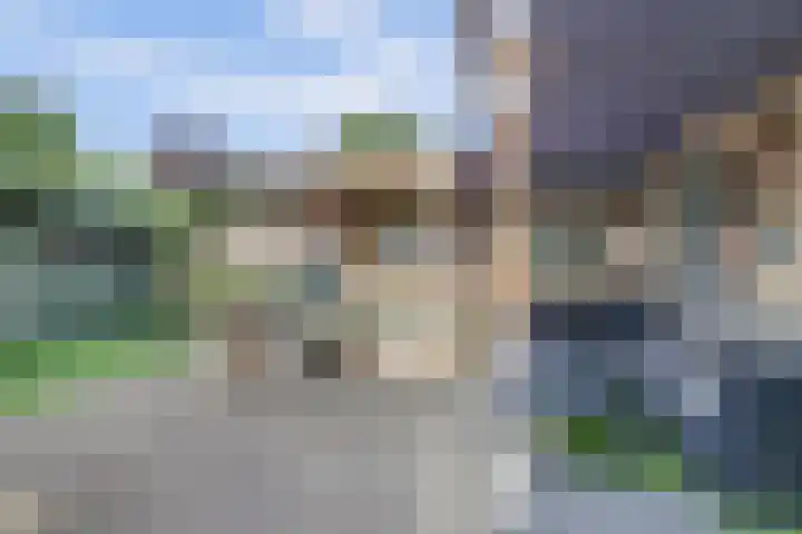 Laustraat 30 's-Heerenhoek thumbnail 19
