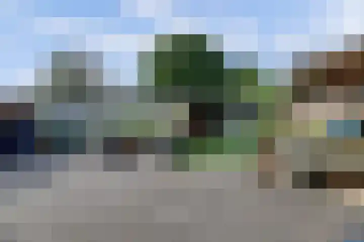Laustraat 30 's-Heerenhoek thumbnail 20