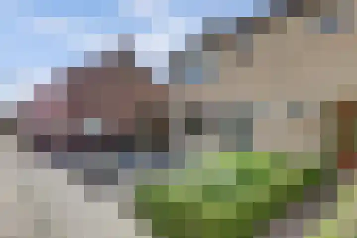 Laustraat 30 's-Heerenhoek thumbnail 24