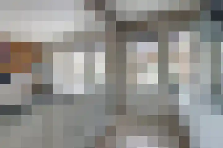 Laustraat 30 's-Heerenhoek thumbnail 9