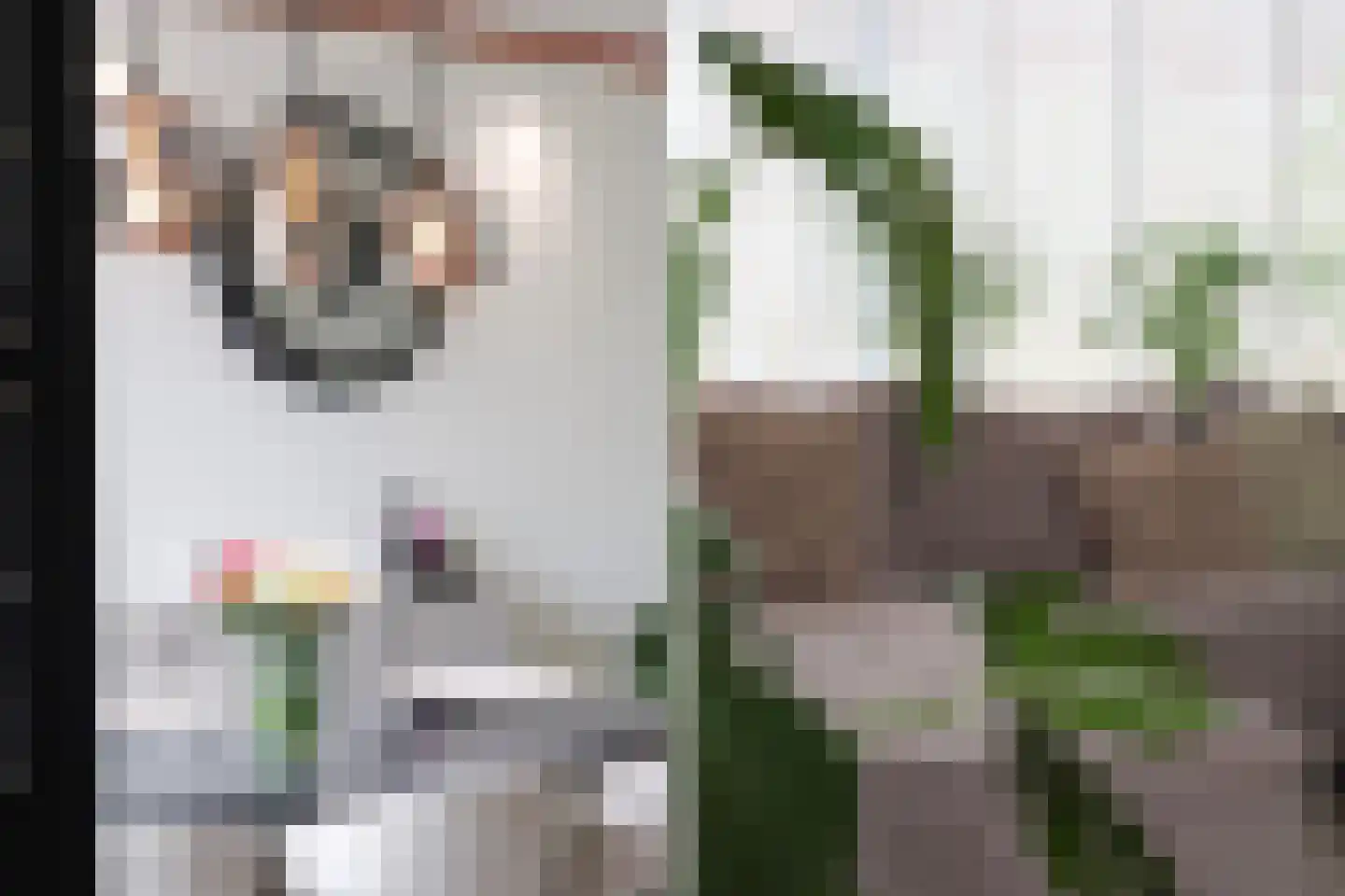 Lautastins 21 Stiens thumbnail 12