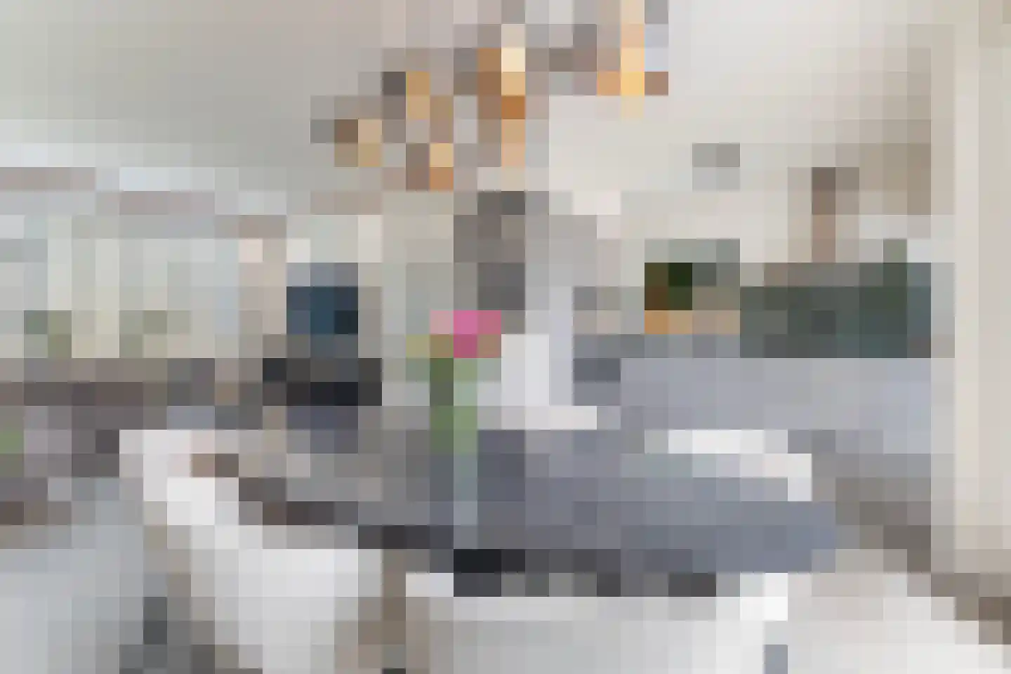 Lautastins 21 Stiens thumbnail 13