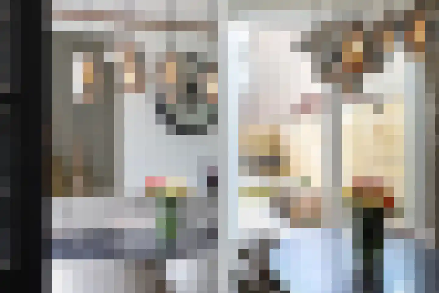 Lautastins 21 Stiens thumbnail 14