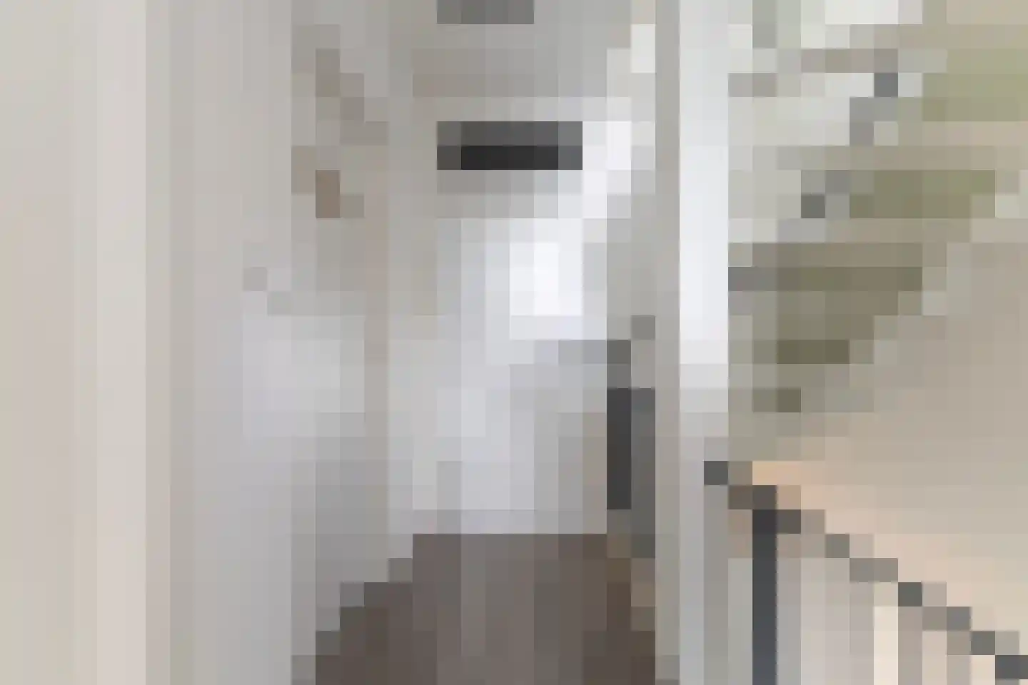 Lautastins 21 Stiens thumbnail 20