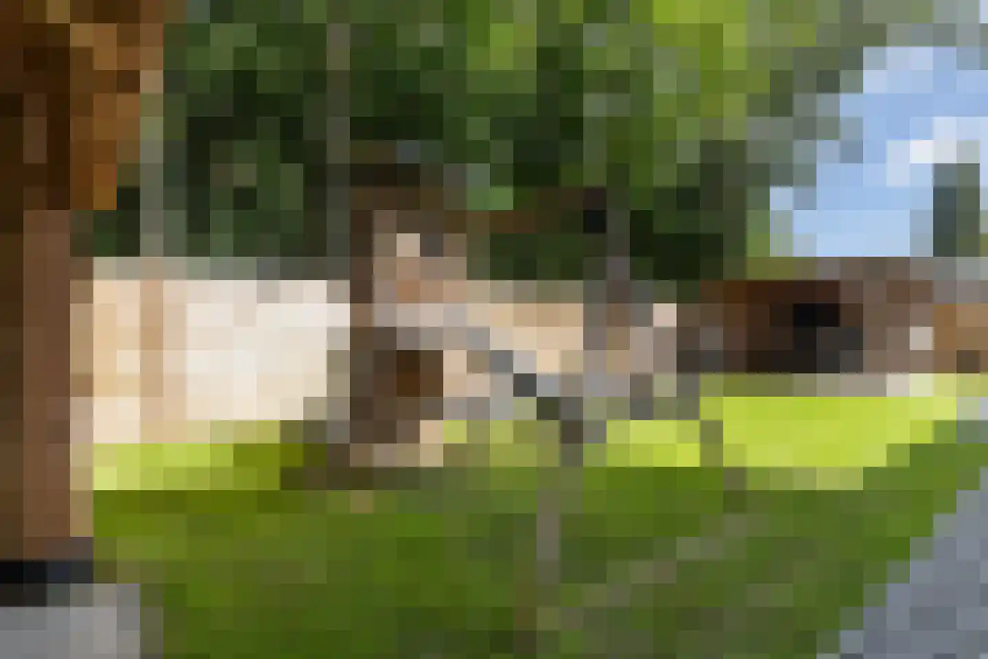 Lautastins 21 Stiens thumbnail 39