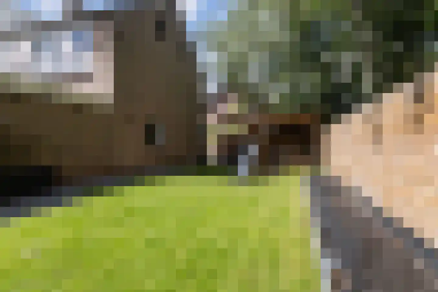 Lautastins 21 Stiens thumbnail 40