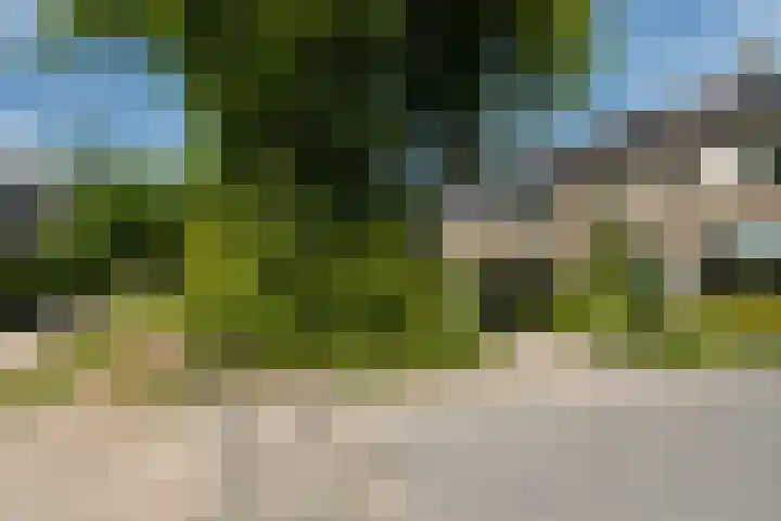 Lautastins 35 Stiens thumbnail 32