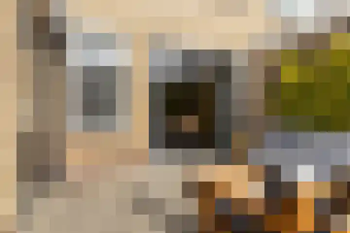 Lautastins 8 Stiens thumbnail 34