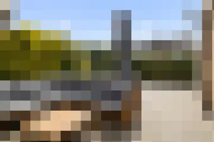 Lautastins 8 Stiens thumbnail 36