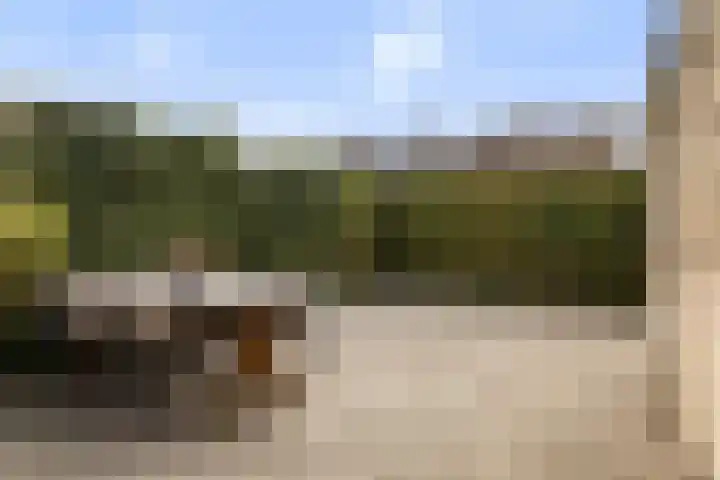 Lautastins 8 Stiens thumbnail 37
