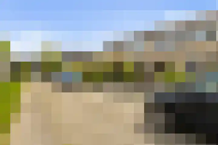 Lautastins 8 Stiens thumbnail 41