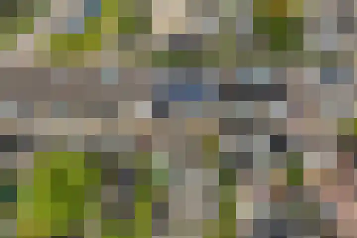 Lautastins 8 Stiens thumbnail 44