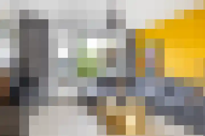 Lautastins 8 Stiens thumbnail 5