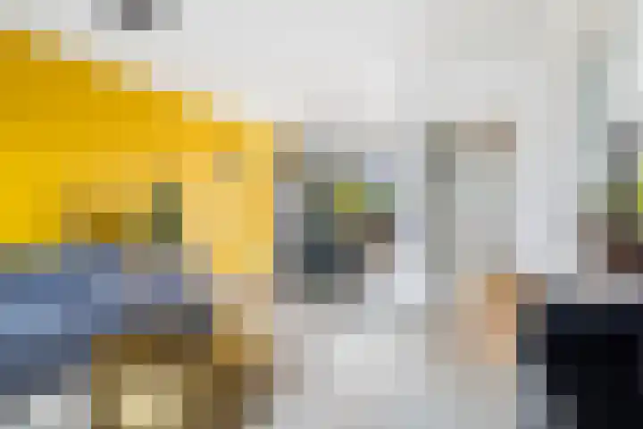 Lautastins 8 Stiens thumbnail 7