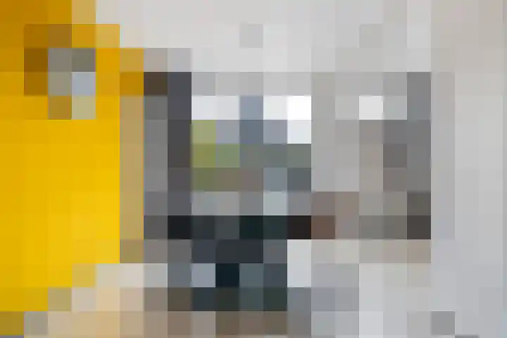 Lautastins 8 Stiens thumbnail 9