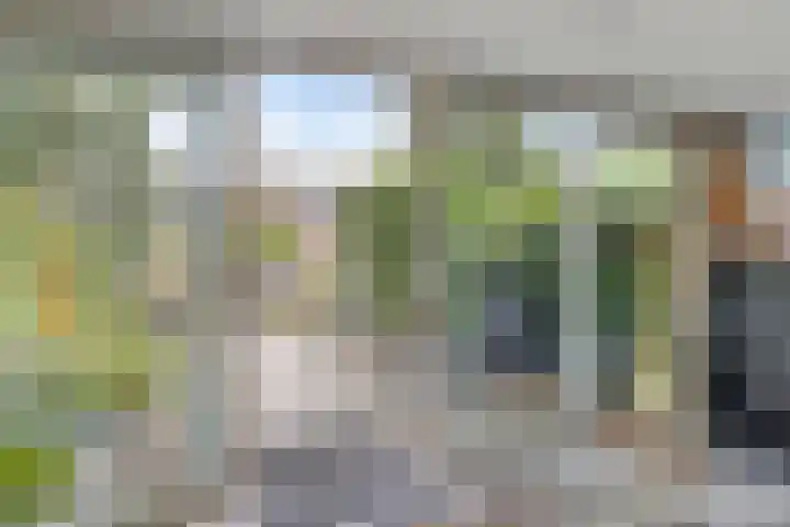 Lauwerbes 19 Leiden thumbnail 13