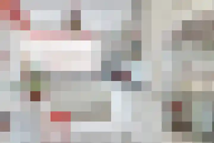 Lauwerbes 19 Leiden thumbnail 16
