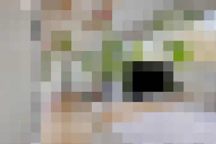 Lauwerbes 19 Leiden thumbnail 31