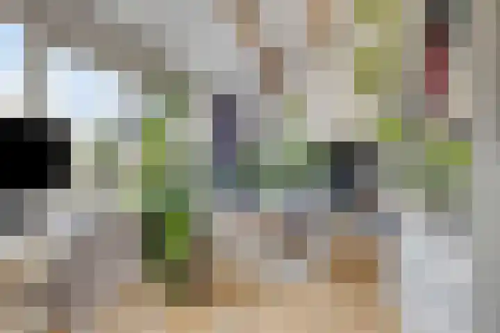 Lauwerbes 19 Leiden thumbnail 32