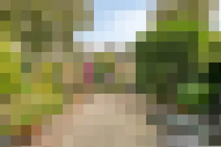 Lauwerbes 19 Leiden thumbnail 34