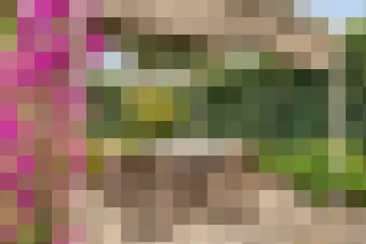Lauwerbes 19 Leiden thumbnail 36