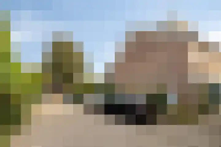 Lauwerbes 19 Leiden thumbnail 37