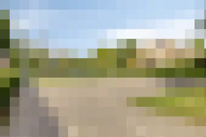Lauwerbes 19 Leiden thumbnail 39