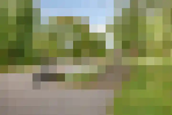 Lauwerbes 19 Leiden thumbnail 40