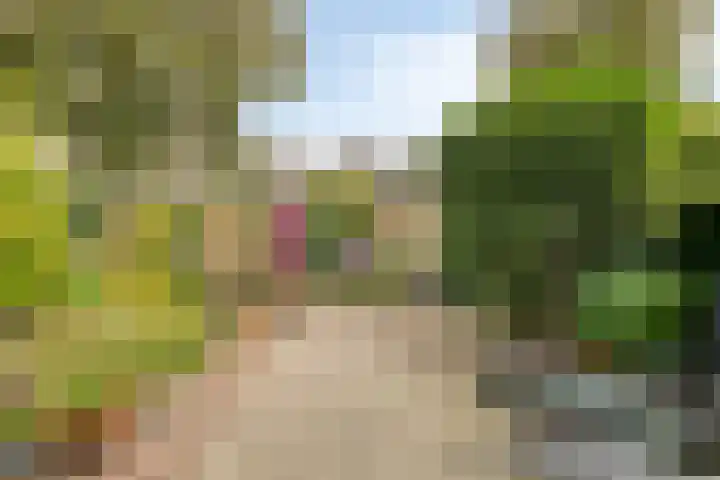Lauwerbes 19 Leiden thumbnail 6