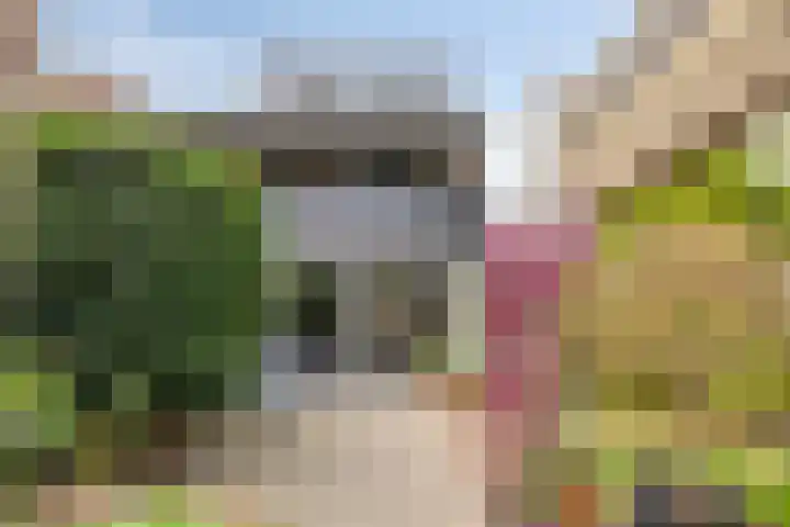 Lauwerbes 19 Leiden thumbnail 7