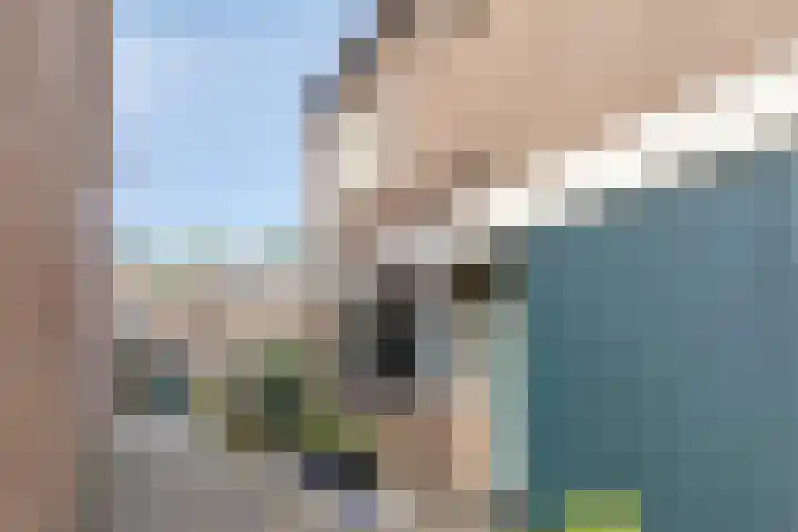 Lauwerbes 19 Leiden thumbnail 8