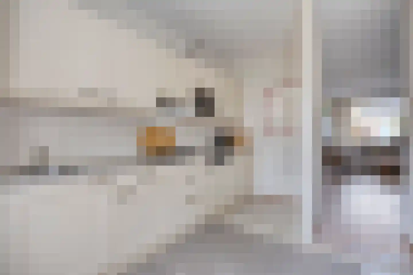 Lauwerbes 2 Leiden thumbnail 15