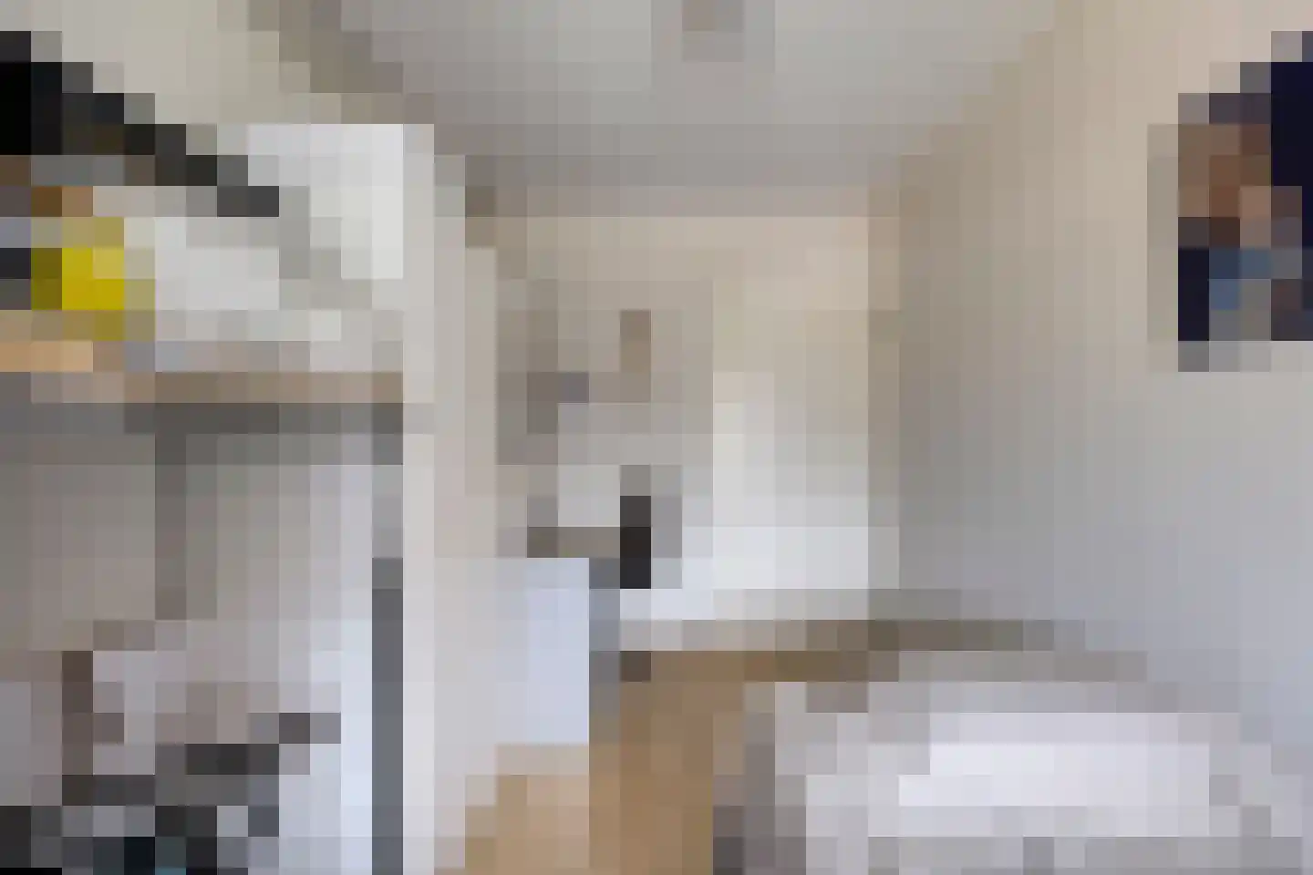 Lauwerbes 2 Leiden thumbnail 23