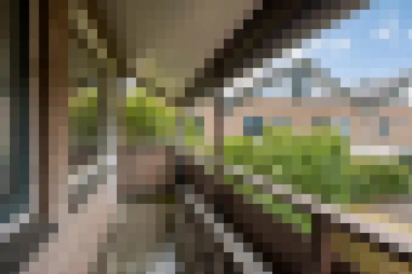 Lauwerbes 2 Leiden thumbnail 26