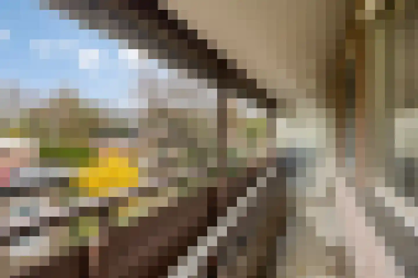 Lauwerbes 2 Leiden thumbnail 27