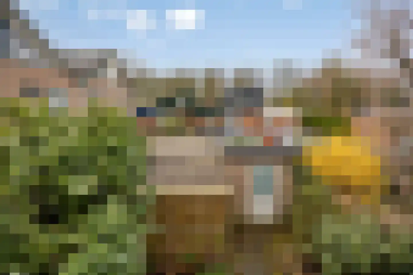 Lauwerbes 2 Leiden thumbnail 28