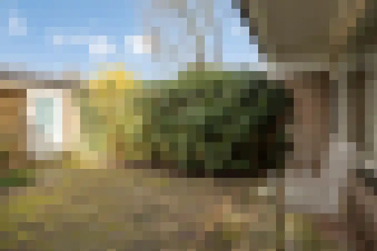 Lauwerbes 2 Leiden thumbnail 29