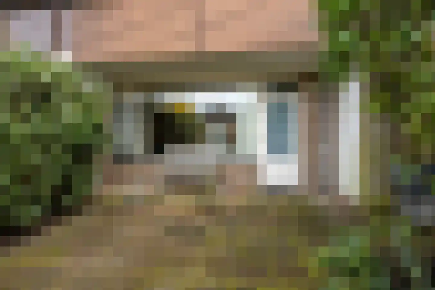 Lauwerbes 2 Leiden thumbnail 31