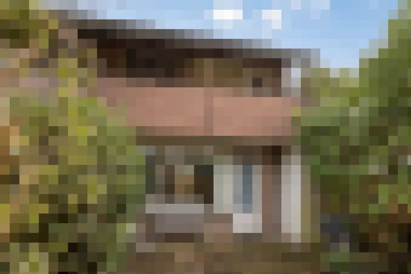 Lauwerbes 2 Leiden thumbnail 32